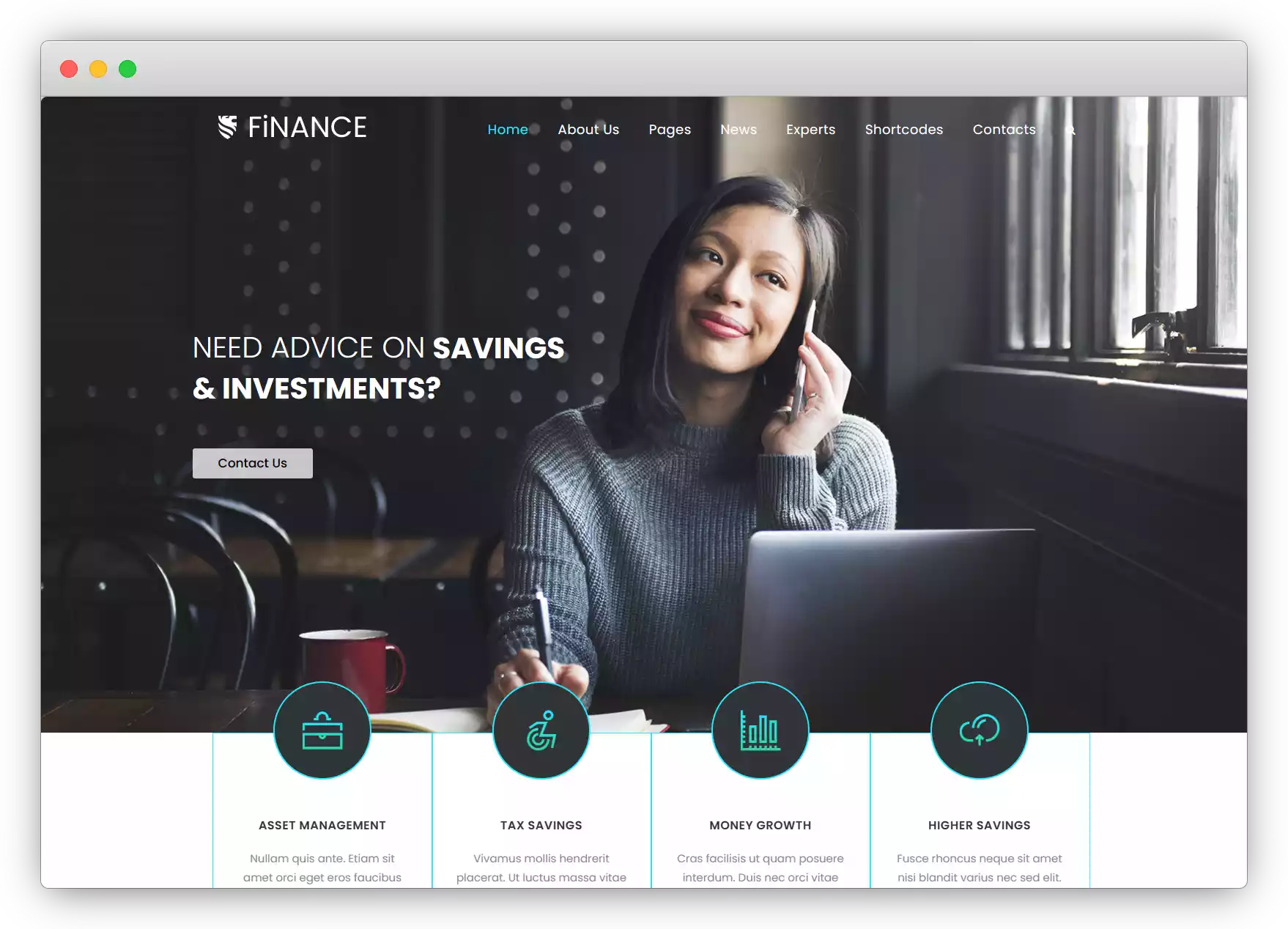 Finance Consultant - Consulting WordPress Theme